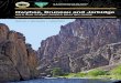 Owyhee, Bruneau and Jarbidge...HOT SPRINGS Natural hot springs exist in the Owyhee, Bruneau and Jarbidge River Systems that support protected plants and animals. Federal and State