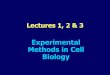 Experimental Methods in Cell Biology - Weeblyjohnjhaddad.weebly.com/uploads/2/5/2/0/2520519/lectures_123.pdf · Experimental Methods in Cell Biology. Cells as experimental models