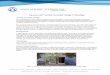 AquaNereda Aerobic Granular Sludge Technology · 2019-09-26 · Page 4 of 9 enhanced settling and stable process characteristics. This process stability along with superb settling