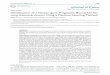 Research Paper Identification of a Sixteen-gene Prognostic ... · 1288 Journal of Cancer 2020; 11(5): 1288-1298. doi: 10.7150/jca.34585 Research Paper Identification of a Sixteen-gene