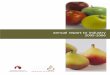 Annual Report Template · Page 2 Annual Report to Australian Apple and Pear Industry 2005-2006 ... ∗ The apple and pear industry is the third largest horticultural industry in Australia