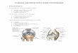 CODING ARTHROSCOPIC KNEE PROCEDURES · knee by limiting inward (valgus) force across the knee. The MCL works with the LCL to prevent unwanted side-to-side motion. The MCL is the most