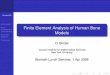 Finite Element Analysis of Human Bone Modelsbindel/present/2008-04-courant.pdf · Courant 08 Bone basics Bone measurement and modeling BoneFEA software Conclusion Finite Element Analysis