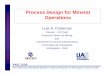 Seminar Process Design for Mineral Operationcepac.cheme.cmu.edu/pasi2008/slides/cisternas/... · Seminar – Process Design for Mineral Operations PASI 2008 Pan American Advanced