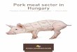 Pork meat sector in Hungary - Flanders Investment and Trade · PORK MEAT SECTOR IN HUNGARY . Overview compiled by Flanders Investment & Trade . Budapest Office . c/o Embassy of Belgium