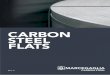 CARBON STEEL FLATS - Marcegaglia ... hub of Marcegaglia Carbon Steel carbon steel coil transformation