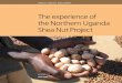 The Experience of the Northern Uganda Shea Nut Project · The Northern Uganda Shea Nut Project The Northern Uganda Shea Nut Project (NUSP) is implemented by the Export Promotion of