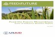 Feed the Future Mozambique - Agrilinks...FEED THE FUTURE MOZAMBIQUE ZONE OF INFLUENCE BASELINE REPORT i Acronyms 5DE Five Domains of Empowerment ANSA Associação de Nutrição e Segurança