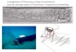 Iconography of Phoenician ships of commerce, and the ... · Iconography of Phoenician ships of commerce, and the strange state of ‘Phoenician’ shipwreck archaeology Assyrian reliefs