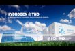 HYDROGEN @ TNO · 2019-07-18 · of hydrogen reaching the cost target of industrial hydrogen (1-2 €/kg H2). This opens the window for the application of this technology in all relevant