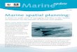 Marine spatial planning - WWF · of marine spatial planning would also make it possible to be forward-looking and provide a clear, easily accessible, mechanism for stakeholder involvement