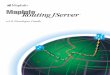 v3.0 Developer Guide - Pitney Bowes...Ł API documentation for the MapInfo Routing J Server is located in \RoutingJServer-3.0\docs. For Windows installations, there
