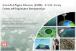 Harmful Algae Blooms (HAB): A U.S. Army Corps of Engineers ......Harmful Algae Blooms (HAB): A U.S. Army Corps of Engineers Perspective Gerard A. Clyde, Jr., Ph.D – Tulsa District