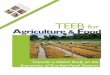 TEEB for Agriculture Foodimg.teebweb.org/wp-content/uploads/2013/08/Towards-TEEBAF-Mila… · TEEB for Agriculture & Food The BAD Agriculture and food production systems today apply