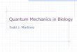 Quantum Mechanics in Biology - Illinois...Quantum Biology • Is quantum mechanics necessary for biology? • Yes, but mostly for “light” particles… • Electrons • Force Fields