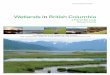 Wetlands in British Columbia - WordPress.com€¦ · Wetlands in British Columbia: A Primer for Local Governments. Wetland Stewardship Partnership. 19 p. The Wetland Stewardship Partnership