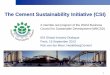 The Cement Sustainability Initiative (CSI) · 2019-11-27 · 1 The Cement Sustainability Initiative (CSI) A member-led program of the World Business Council for Sustainable Development