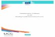 Administrative Guidance on the Binding Tariff Information Process · 2019-04-24 · 1. OBJECTIVES OF THE GUIDANCE The Guidance on the Binding Tariff Information process, although