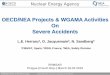 OECD/NEA Projects & WGAMA Activities On Severe … 2019 - Presentations...de-stratification by jet in containment • Ability to predict in-vessel core melt progression and degraded