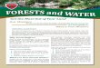 Get the Most Out of Your Land - JAMES RIVER BUFFER PROGRAM€¦ · InFOREST A Tool to Evaluate How Forest Cover Impacts Water and Air Quality If you have a computer and Internet access,