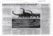 14 octubre 2007… · ción: 'La enciclopedia ilustradá de los Dinosaurios' (1985), escrito por el presttgioso paleontólogo David Norman, y que en España ha reeditado Susaeta