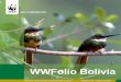 WWFolio Bolivia - Pandaawsassets.panda.org/downloads/wwfolio_esp_15_ok_1.pdf · Rosa la Mariposa, son el resultado de un proceso de ‘casting’ del que participaron 30 postulantes