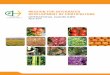 MIDH DEVELOPMENT OF HORTICULTUREmofpi.nic.in/sites/default/files/MIDH_GL(E).pdf · 1.1 Mission for Integrated Development of Horticulture (MIDH) is a Centrally Sponsored Scheme for