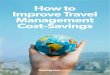 The days of quick wins and sweeping savings in travel...The days of quick wins and sweeping savings in travel management are probably over. If you've not already been through multiple