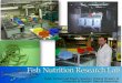 In existence since 1969 (S.J. Slinger & C.Y. Cho) Historically … · 2019-11-08 · In existence since 1969 (S.J. Slinger & C.Y. Cho) Historically regarded as a key fish nutrition
