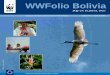 WWFolio Bolivia - Infobosques · responsable en el Pantanal boliviano, representando para la población local y los municipios un gran reto, con miras a tornarse en el mediano plazo