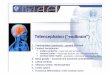 Telencephalon ( “endbrain ”) - Lazarovnikolai.lazarov.pro/lectures/2014-2015/dental_medicine/n... · 2014-10-19 · Telencephalon ( “endbrain ”) 1. Telencephalon (cerebrum)