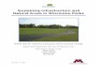 Sustaining Infrastructure & Natural Areas in Shoreview Parks · 2015-02-13 · A special thanks to Gary Chapman, Jerry Haffeman, and Gene Kruckenberg for help in acquiring park and