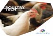POULTRY TECH - Mazzoleni S.p.A....MAZZOLENI SPA, the European leader in animal nutrition, presents the new POULTRY TECH line, composed of technical products dedicated to the poultry