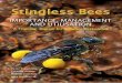 IMPORTANCE, MANAGEMENT · 2013-11-29 · IMPORTANCE, MANAGEMENT AND UTILISATION Stingless Bees A Training Manual For Stingless Beekeeping Peter Kwapong Kwame Aidoo Rofela Combey Afia