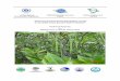 “Reversing Environmental Degradation Trends in the South ... · NATIONAL REPORT ON MANGROVES IN SOUTH CHINA SEA – CAMBODIA 1 Reversing Environmental Degradation Trends in the