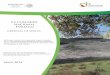 La comisión Nacional Forestalsis.cnf.gob.mx/.../conafor-files/2018/nacional/catalogo/biblioteca/88.… · La comisión Nacional Forestal gerencia de suelos Análisis de la Evaluación
