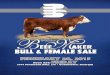 BULL & FEMALE SALE - White Hawk Ranchwhitehawkbeefmakers.com/PDFs/2015BeefMakerCatalog.pdf · Jason Johns ..... 770-851-0691 Sale Catalog: Creative Services Location — Travel See