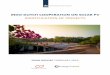 INDO-DUTCH COOPERATION ON SOLAR PV · FINAL REPORT FEBRUARY 2016 INDO-DUTCH COOPERATION ON SOLAR PV IDENTIFICATION OF PROJECTS . 2 COLOPHON ... these opportunities concern research
