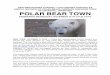 Polar Bear Town Final - Smithsonian Channel · in a chase helicopter. But the tranquilizers that conservation officers use on bears wear off quickly and the helicopter pilots need