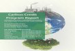 Carbon Credit Program Report · 2020-04-03 · 7 Carbon Credit Program Report RUC Actuarial Consulting 1.3 Introduction to carbon financial market With the development of carbon trading,