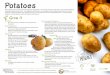 How to Grow Potatoes - Growing Potatoes · • All tubers produced on a potato plant arise from above the seed piece. Soil must be pulled toward the plant as it grows. This gives