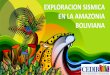 EXPLORACION SISMICA EN LA AMAZONIA BOLIVIANA · •g) Aerogravimetría, aeromagnetotelúrico, aeromagnetometría, aerofotogrametría; • h) Análisis de Emisiones Electromagnéticas
