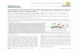 Combating Drug-Resistant Mutants of Anaplastic …Combating Drug-Resistant Mutants of Anaplastic Lymphoma Kinase with Potent and Selective Type‑I1/2 Inhibitors by Stabilizing Unique