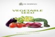 VEGETABLE SEED - ISI Sementi...Research & Italian Passion We put Italian passion and taste in everything we do, because we believe in the values of tradition, and we innovate in a