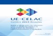 Cumbre 2015 Bruselas - Europa · 2017-10-23 · - A raíz de su creación en 2010, la Comunidad de Estados Latinoamericanos y Caribeños (CELAC) es actualmente el interlocutor de