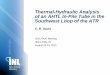 Thermal-Hydraulic Analysis of an AHTL In-Pile Tube in the ... Documents... · –The core power during the approach to minimum thermal margins was slightly higher with the AHTL IPT