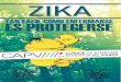 ¿Qué es?clinicadelviajero.com.mx/docs/diptico_zika_2016.pdf · La fiebre Zika es una enfermedad causada por un virus trasmitido por el mos-quito Aedes, que es el mismo portador