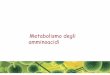 Metabolismo degli amminoacidi - UNIVPM · PDF file Metabolismo degli amminoacidi. Aminoacidi e proteine sono in rapporto dinamico Amminoacidi N C Proteine della dieta Derivati non