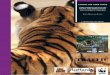 A TRAFFIC EAST ASIA REPORT - International Union for ... · taming the tiger trade china’s markets for wild and captive tiger products since the 1993 domestic trade ban kristin