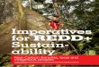 Imperatives for REDD+ Sustain- · Imperatives for EDD Sustainability 1 Imperatives for REDD+ Sustain-ability Non-Carbon Benefits, local and indigenous peoples This paper has been